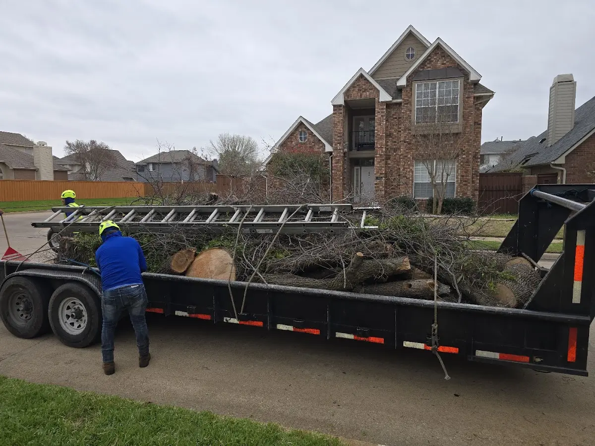 Expert Tree Fertilization with proper safety equipment in Iron Gate